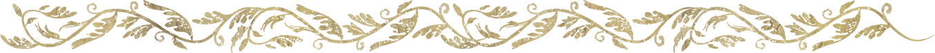 Separator image